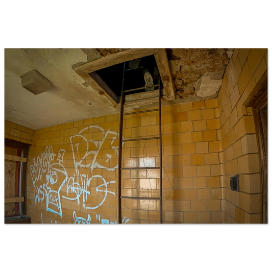 393e56db-c259-4ba9-b6b9-05399eed95f2