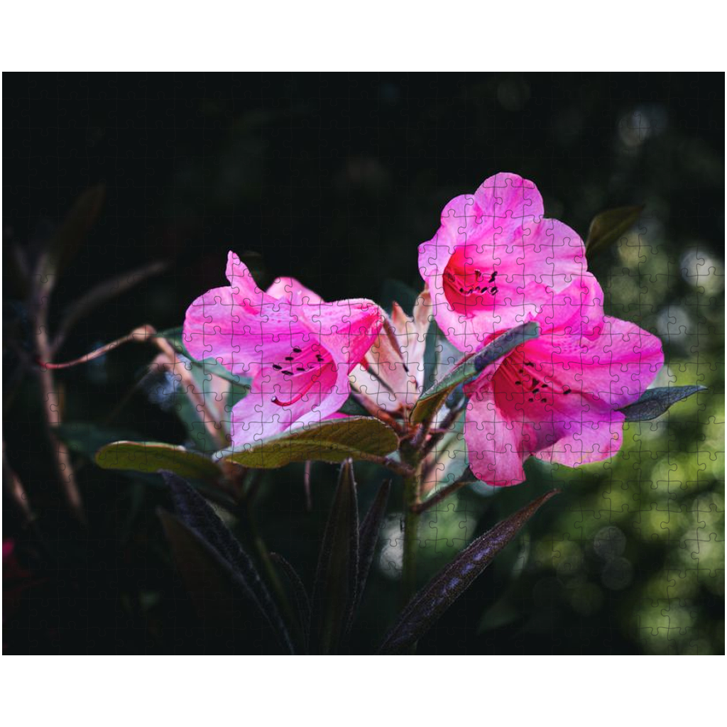 Vibrant Fuchsia Jigsaw Puzzle 252/500/1014 Pieces-Gage Prints
