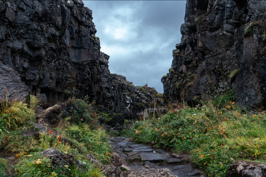 "Pathway Through" Icelandic Wall Art