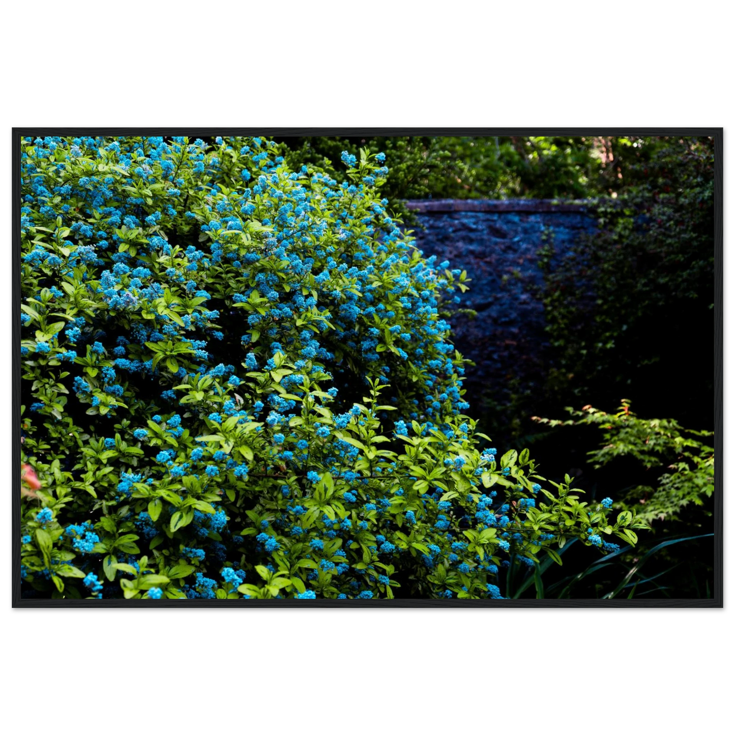 72119492-bb97-4633-aaf3-a74145f932df