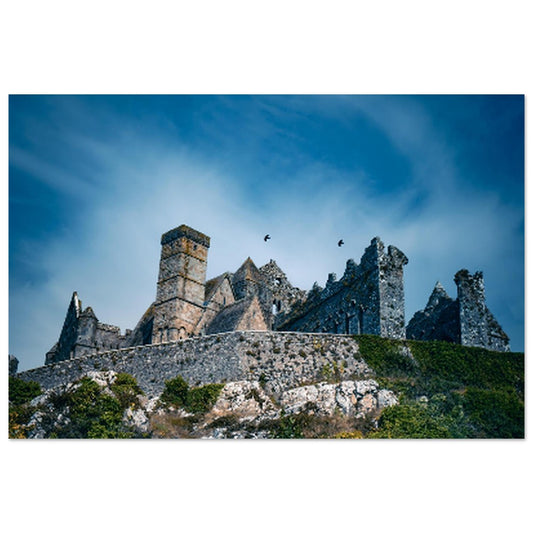 8ac67e50-deea-470a-892f-8a6b9ed39909