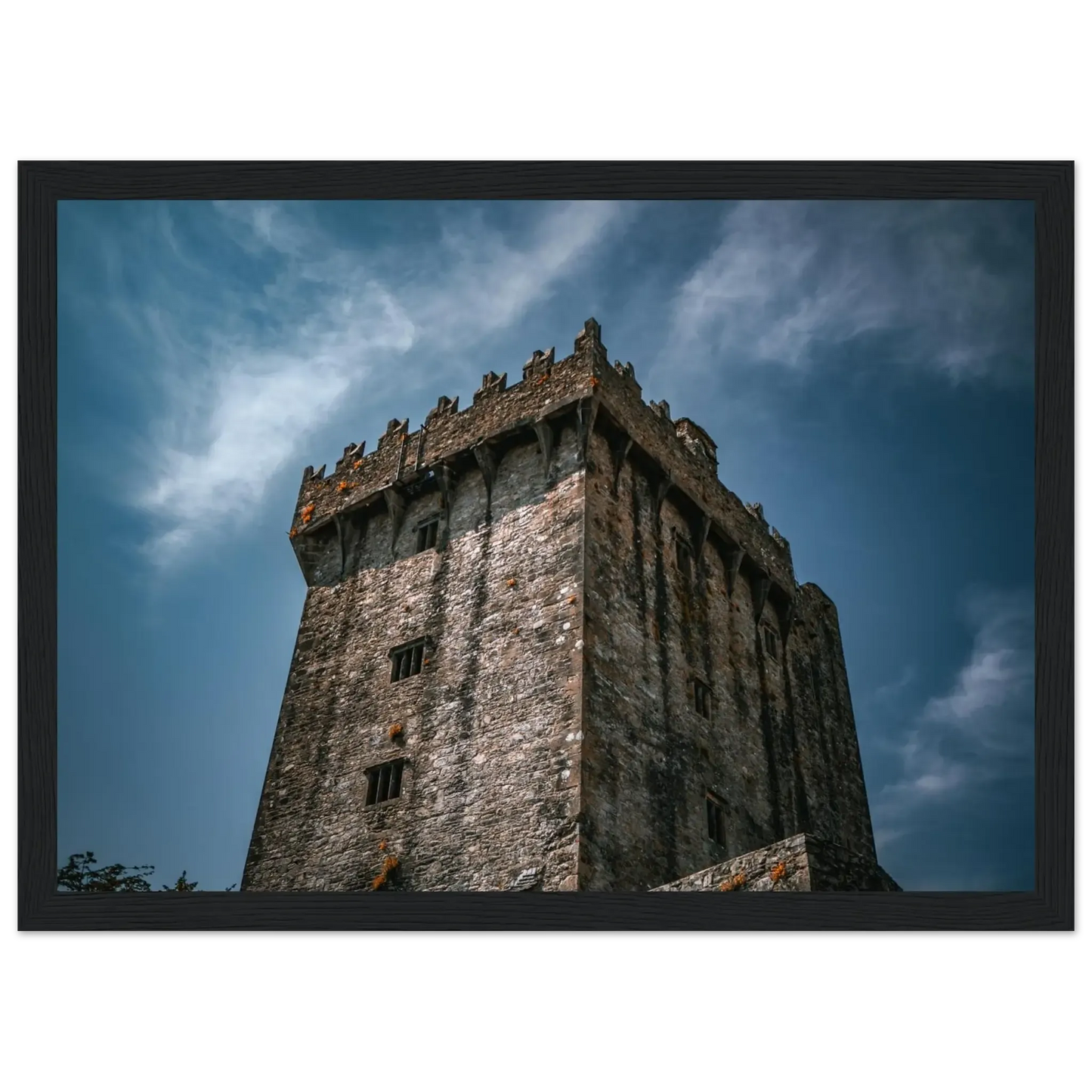 Blarney Castle-Gage Prints