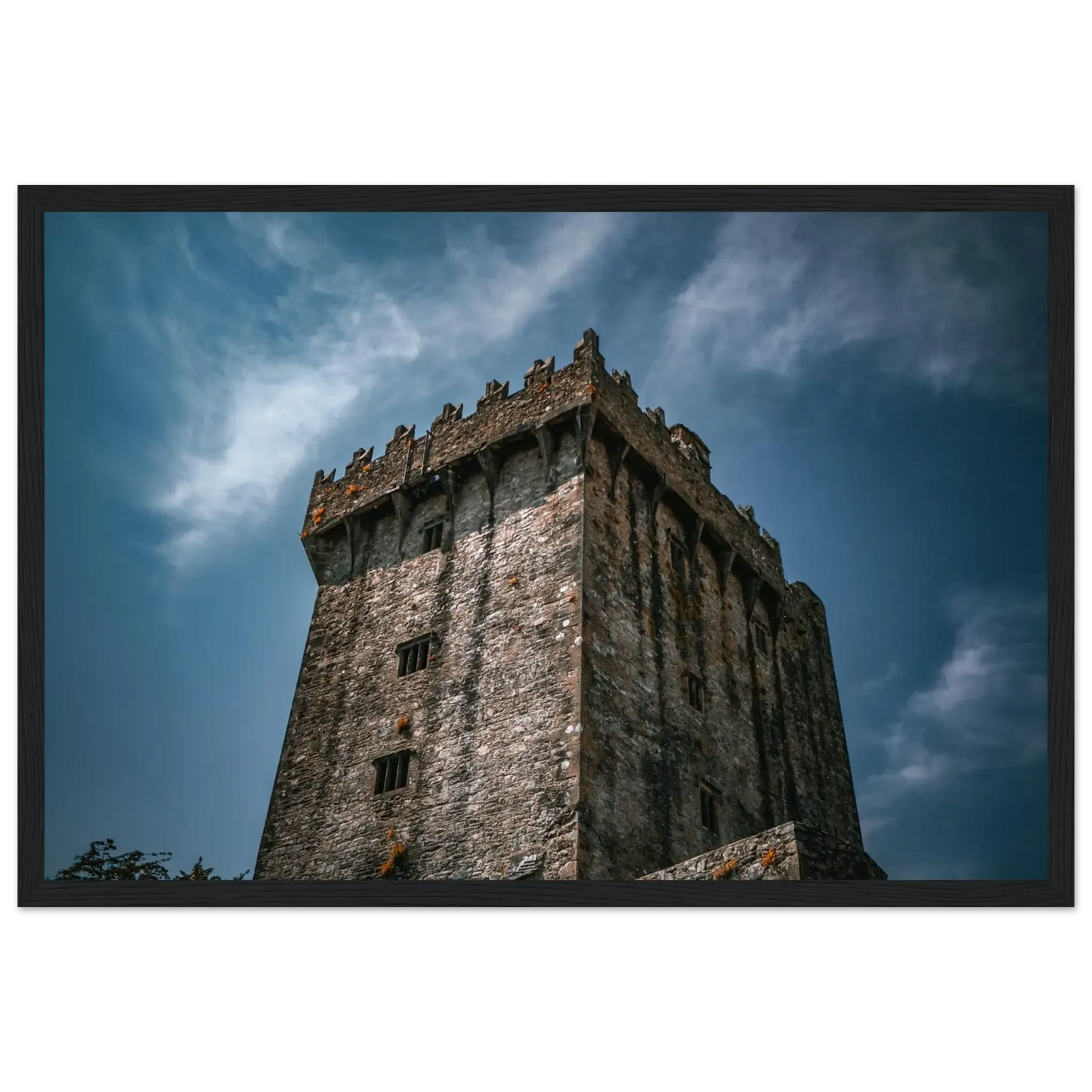 Blarney Castle-Gage Prints