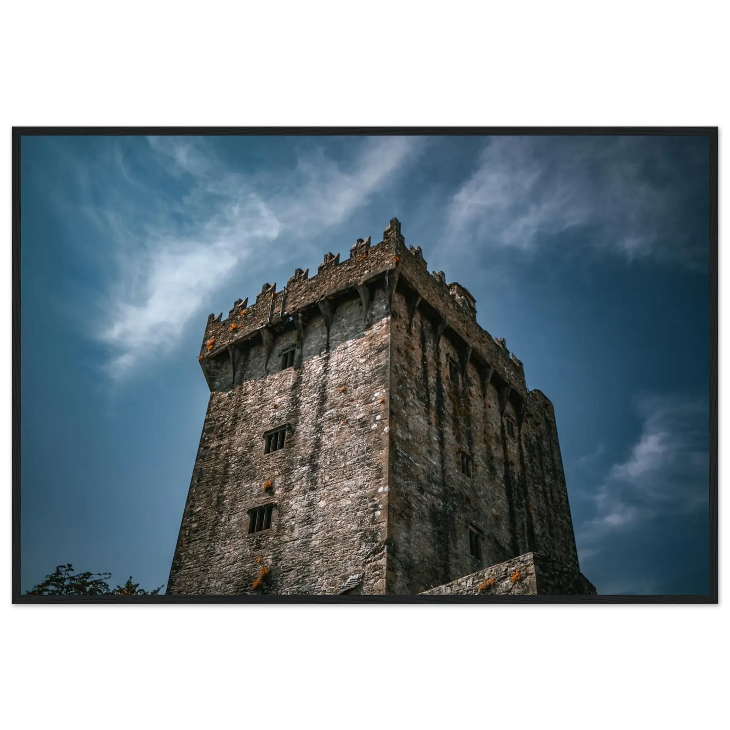 Blarney Castle-Gage Prints