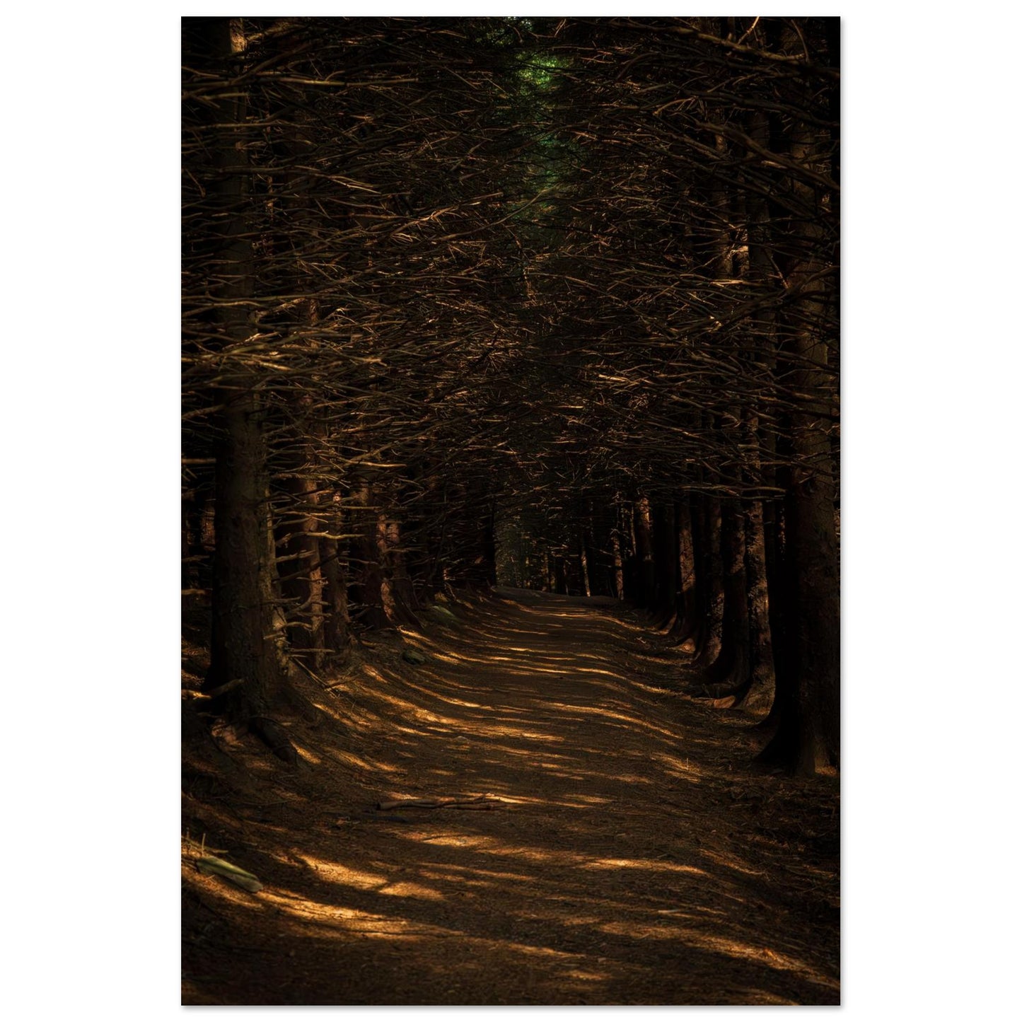 Bleak Rays-Gage Prints