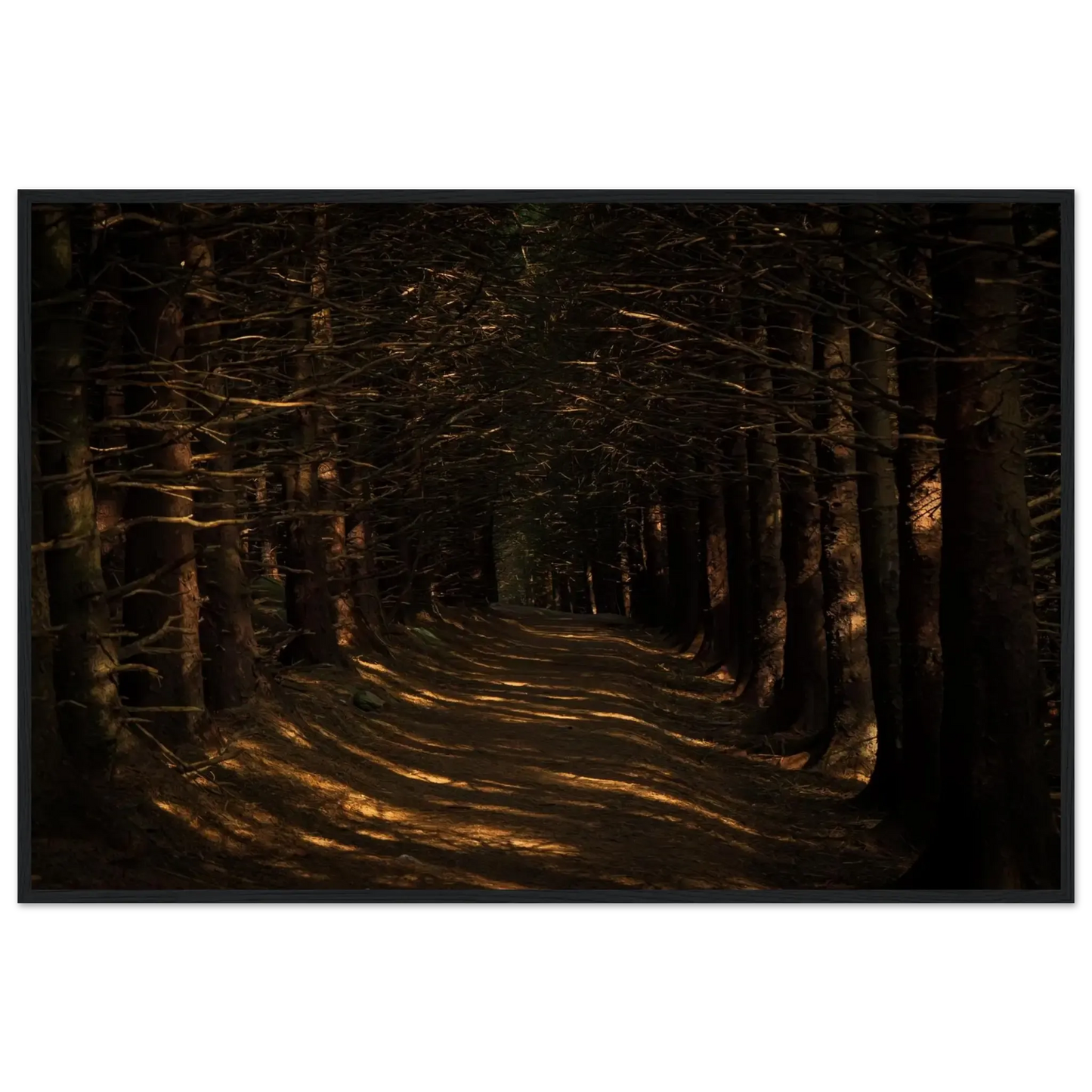 Bleak Rays (Horizontal)-Gage Prints