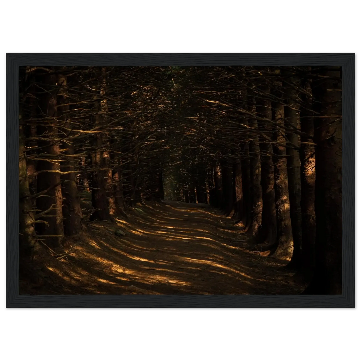 Bleak Rays (Horizontal)-Gage Prints