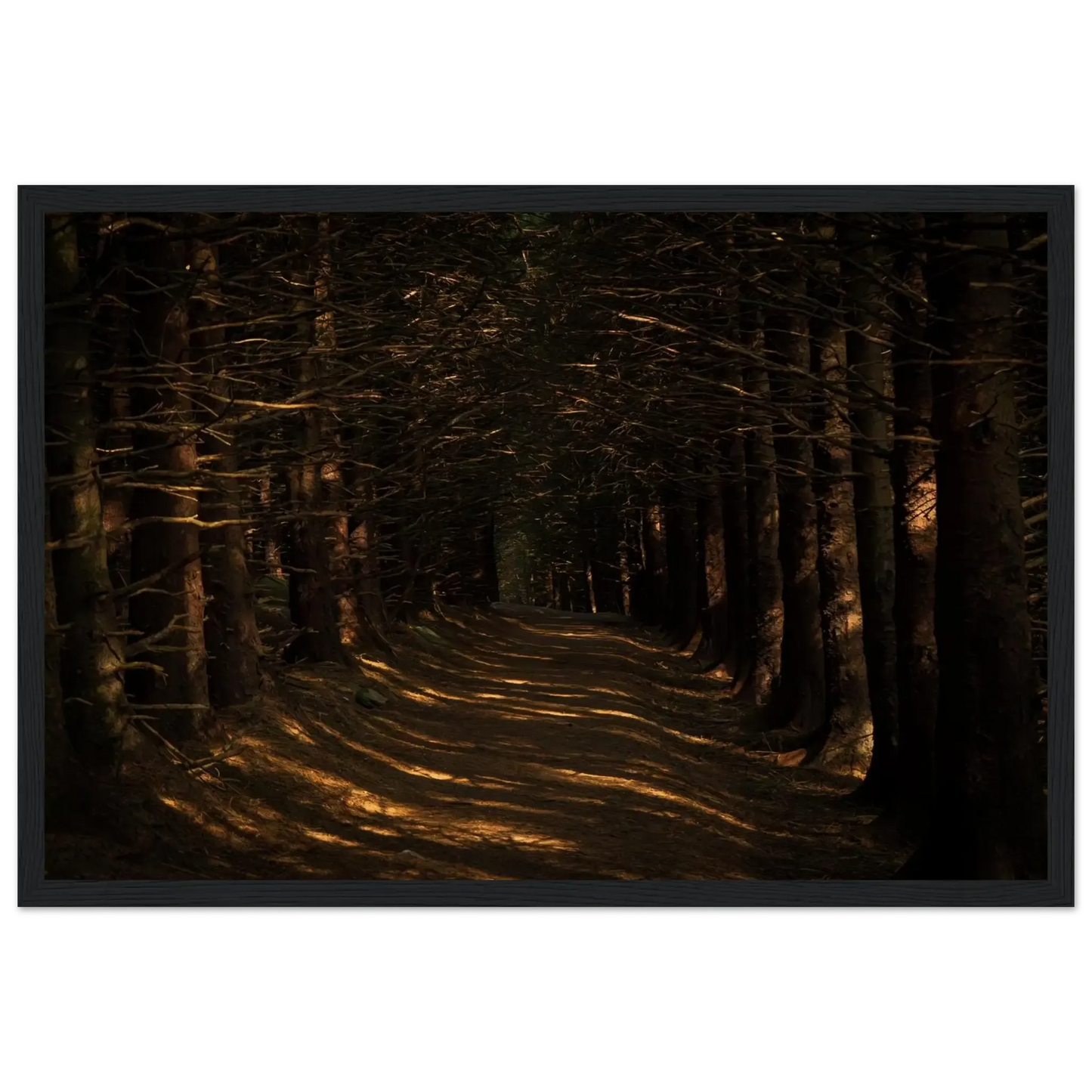 Bleak Rays (Horizontal)-Gage Prints