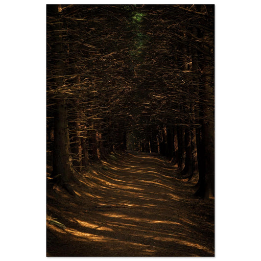 Bleak Rays-Gage Prints