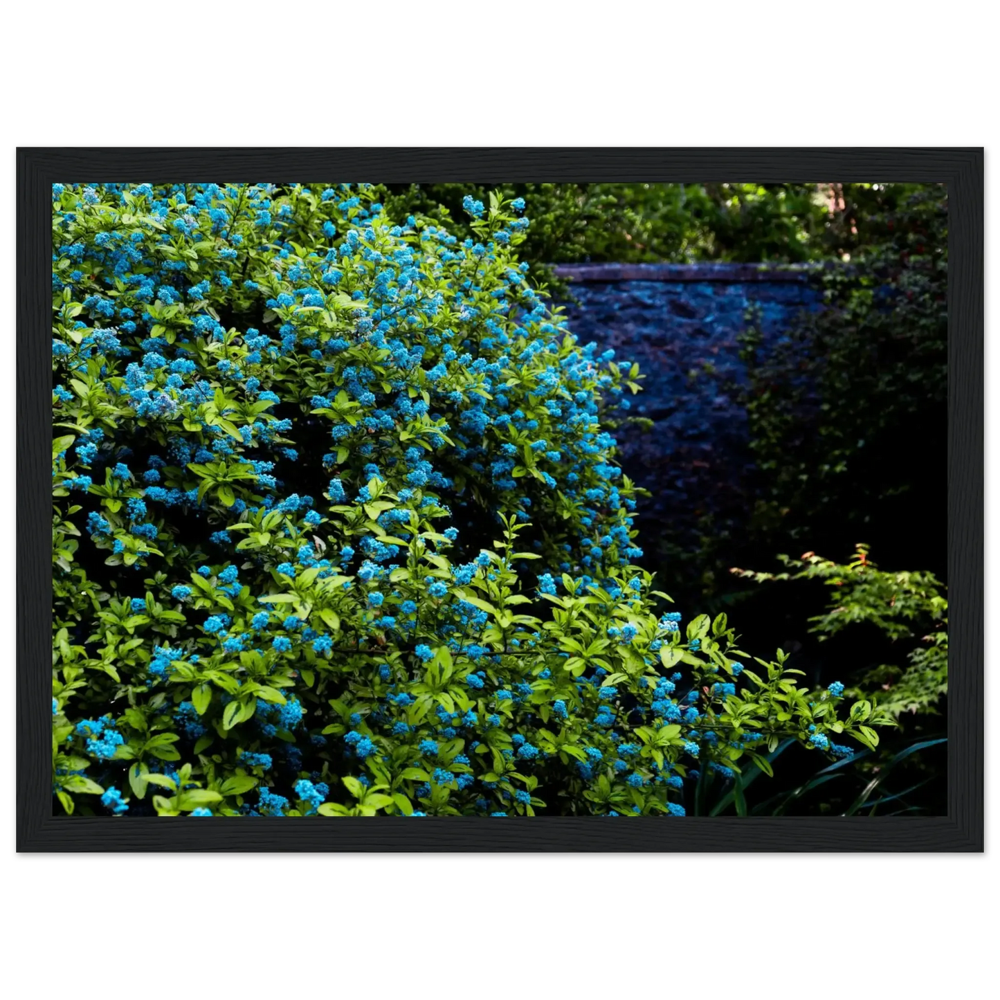 Blue Floral Garden-Gage Prints