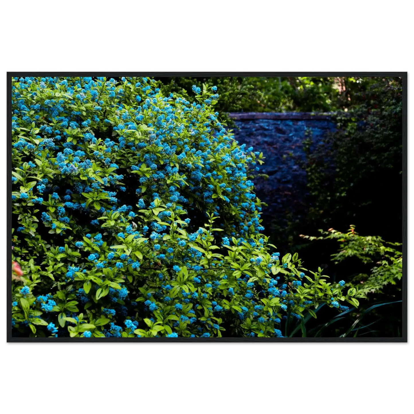 Blue Floral Garden-Gage Prints