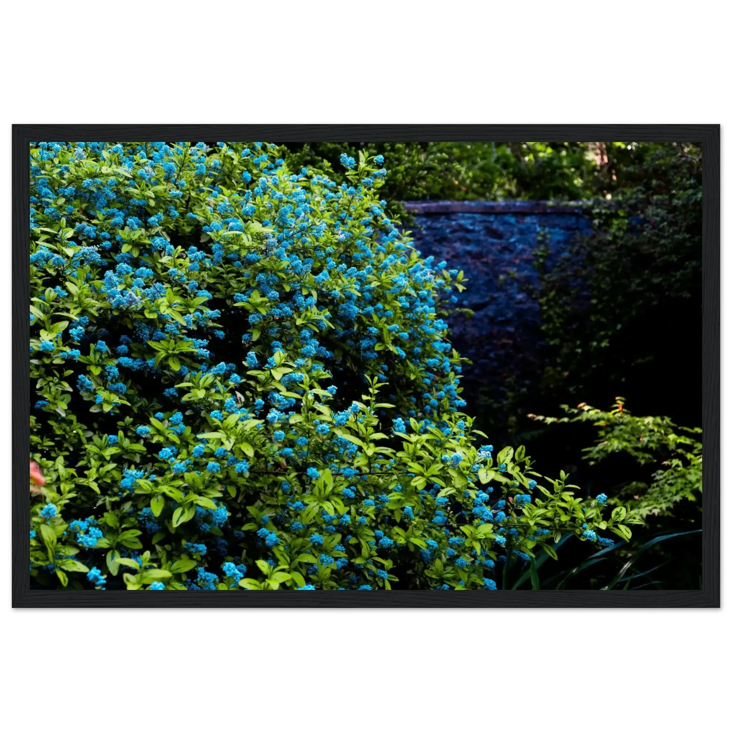 Blue Floral Garden-Gage Prints