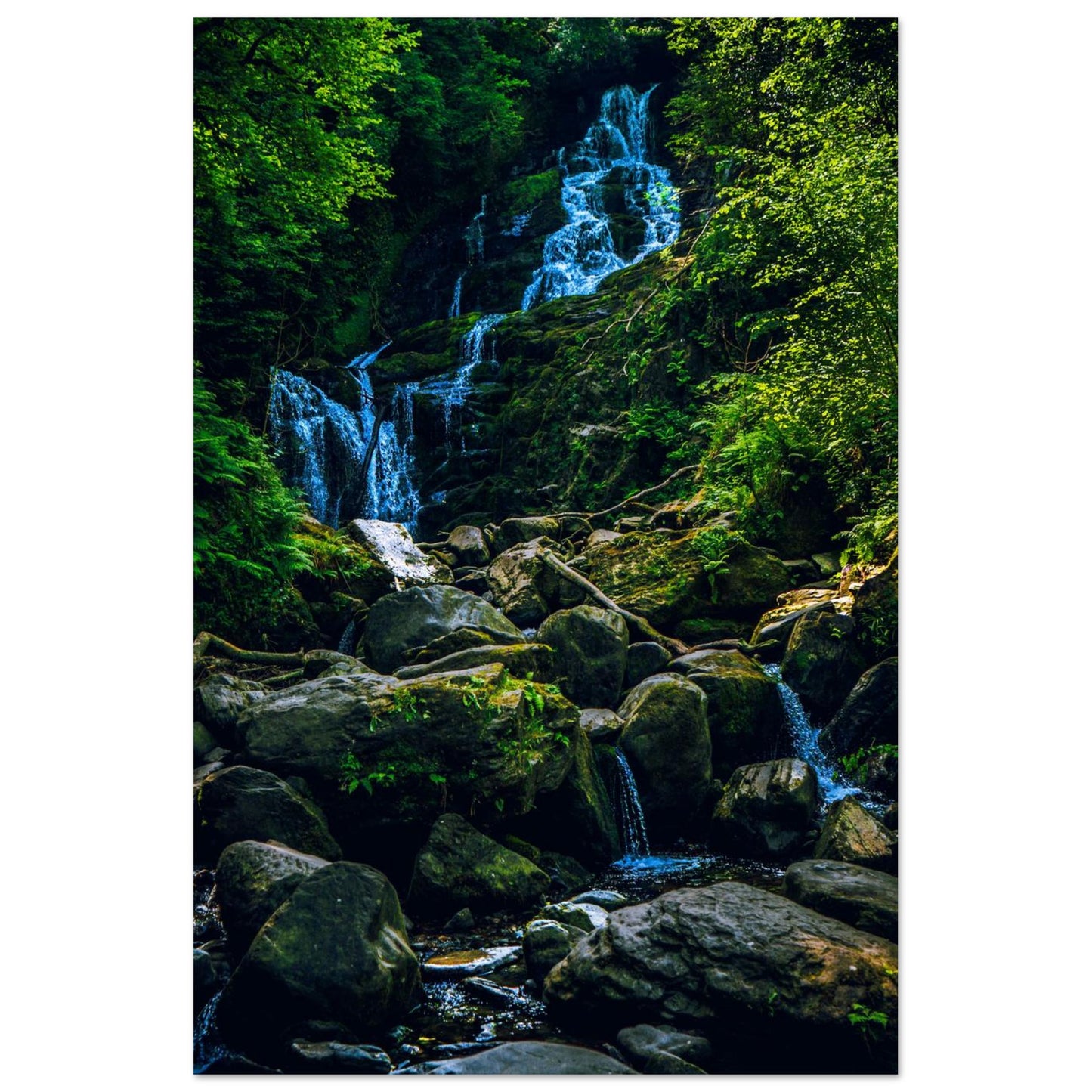 Cascading Forest Falls-Gage Prints