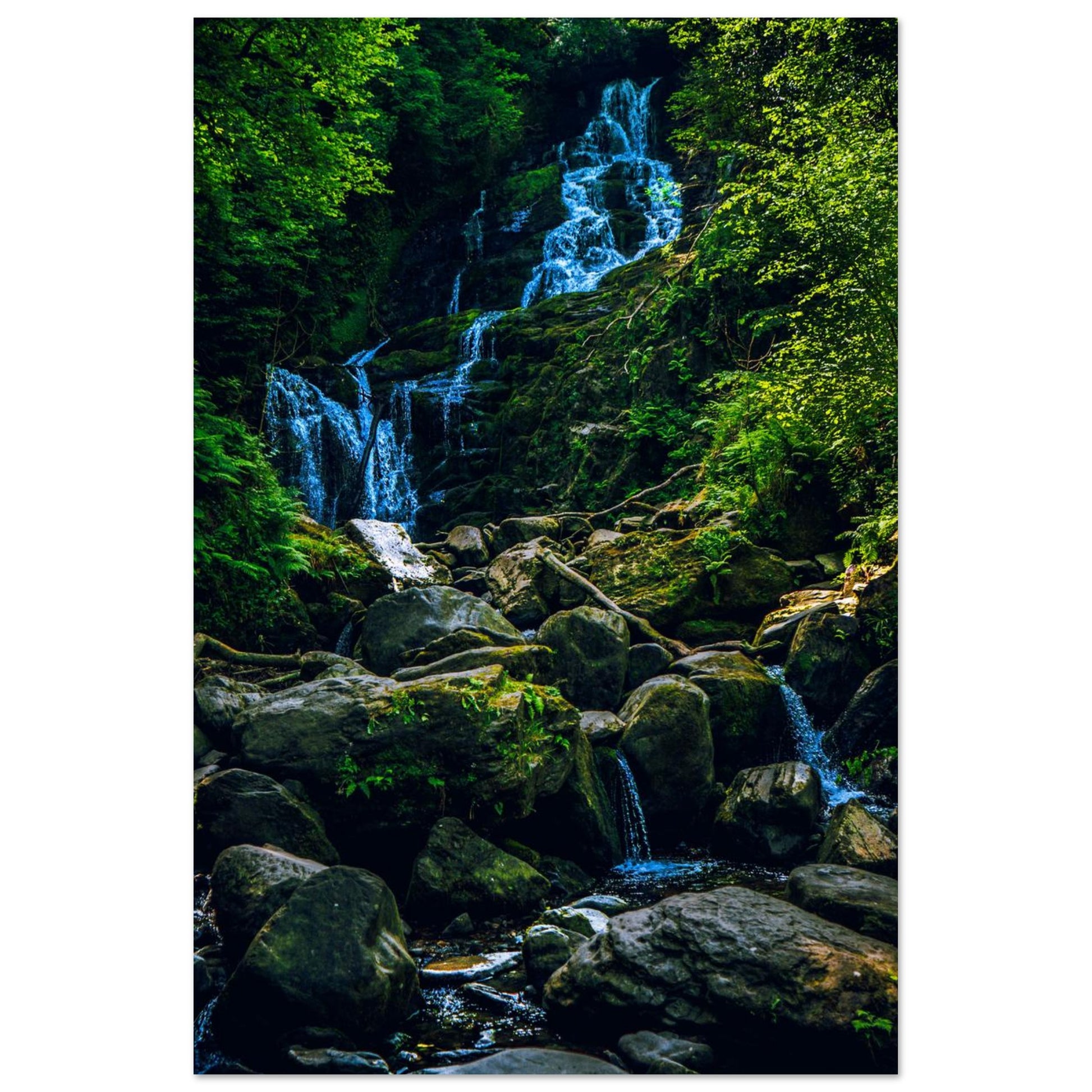 Cascading Forest Falls-Gage Prints