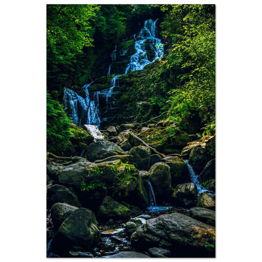 Cascading Forest Falls-Gage Prints