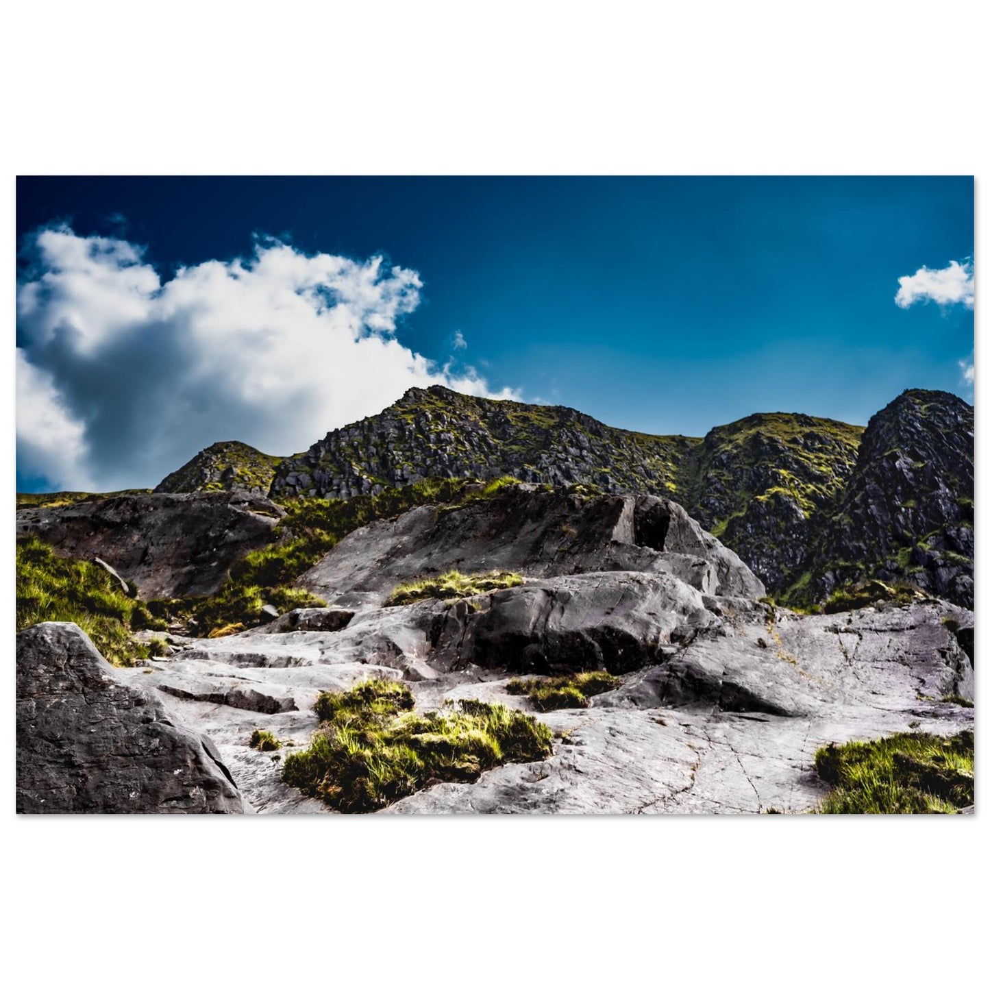 Climb Up-Gage Prints