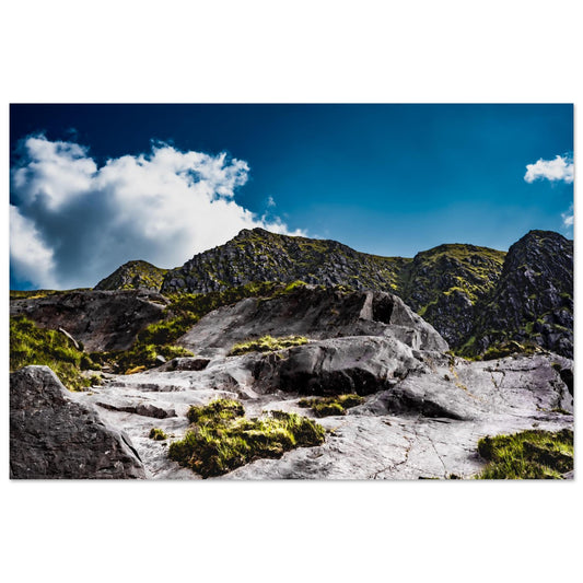 Climb Up-Gage Prints