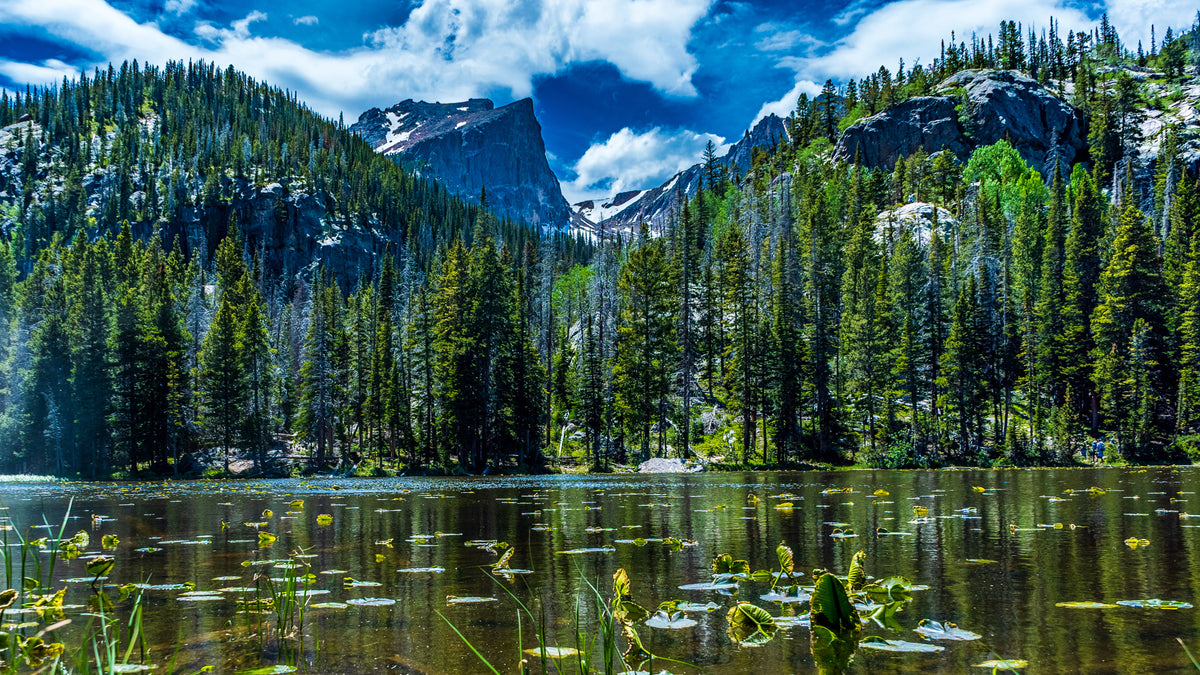 Nymph Lake Colorado Poster Print