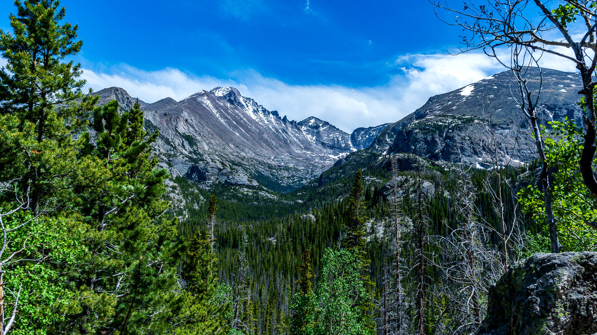 Rocky Mountain Valley Poster Print