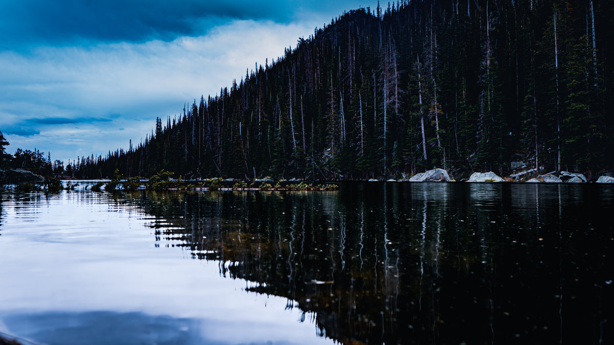 Stillness Poster Print