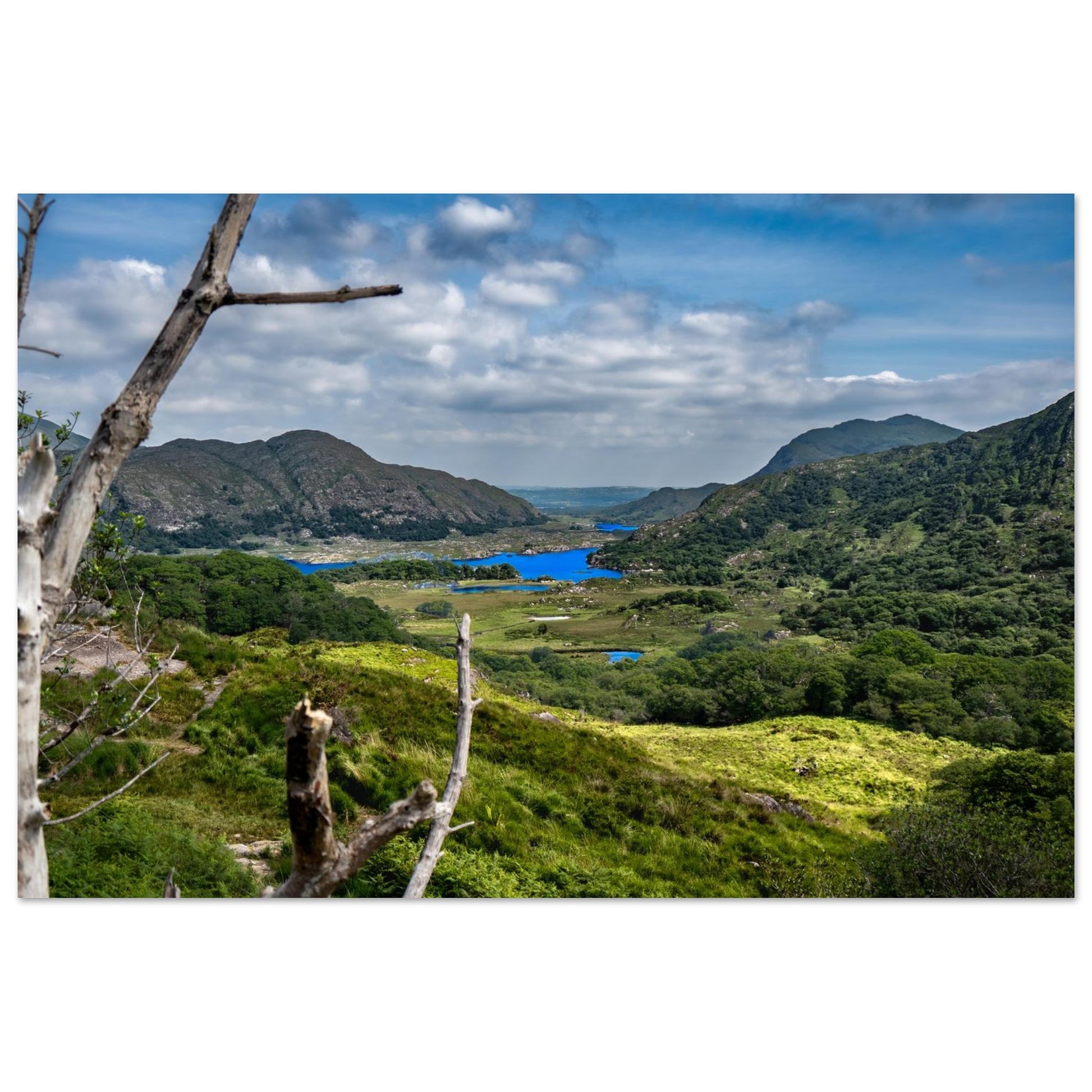 Emerald Isle Landscape-Gage Prints