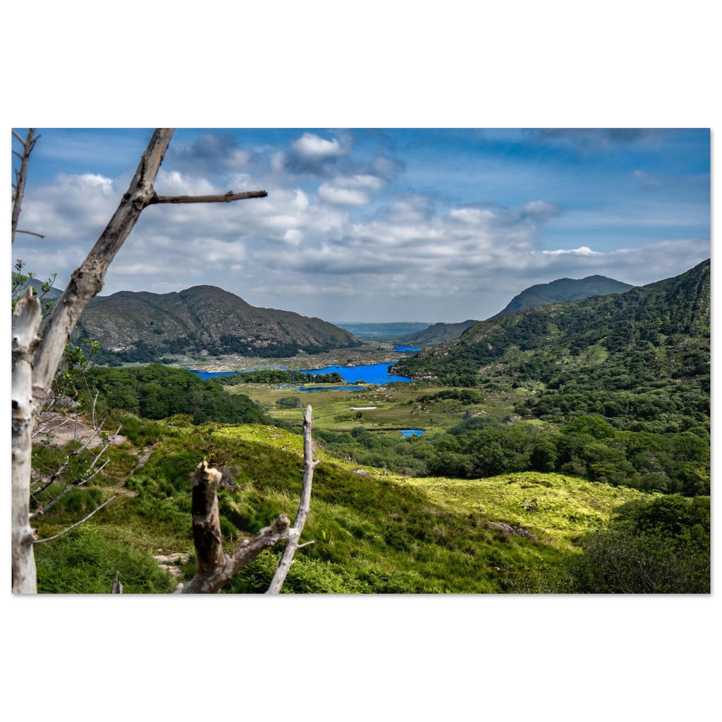 Emerald Isle Landscape-Gage Prints