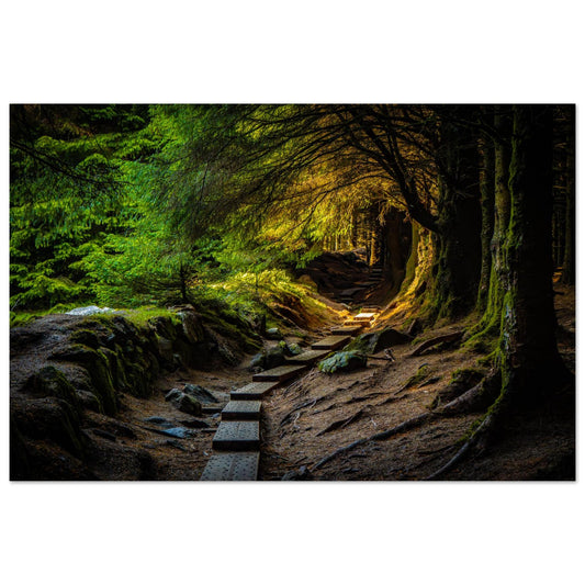 Enchanted Forest Path-Gage Prints