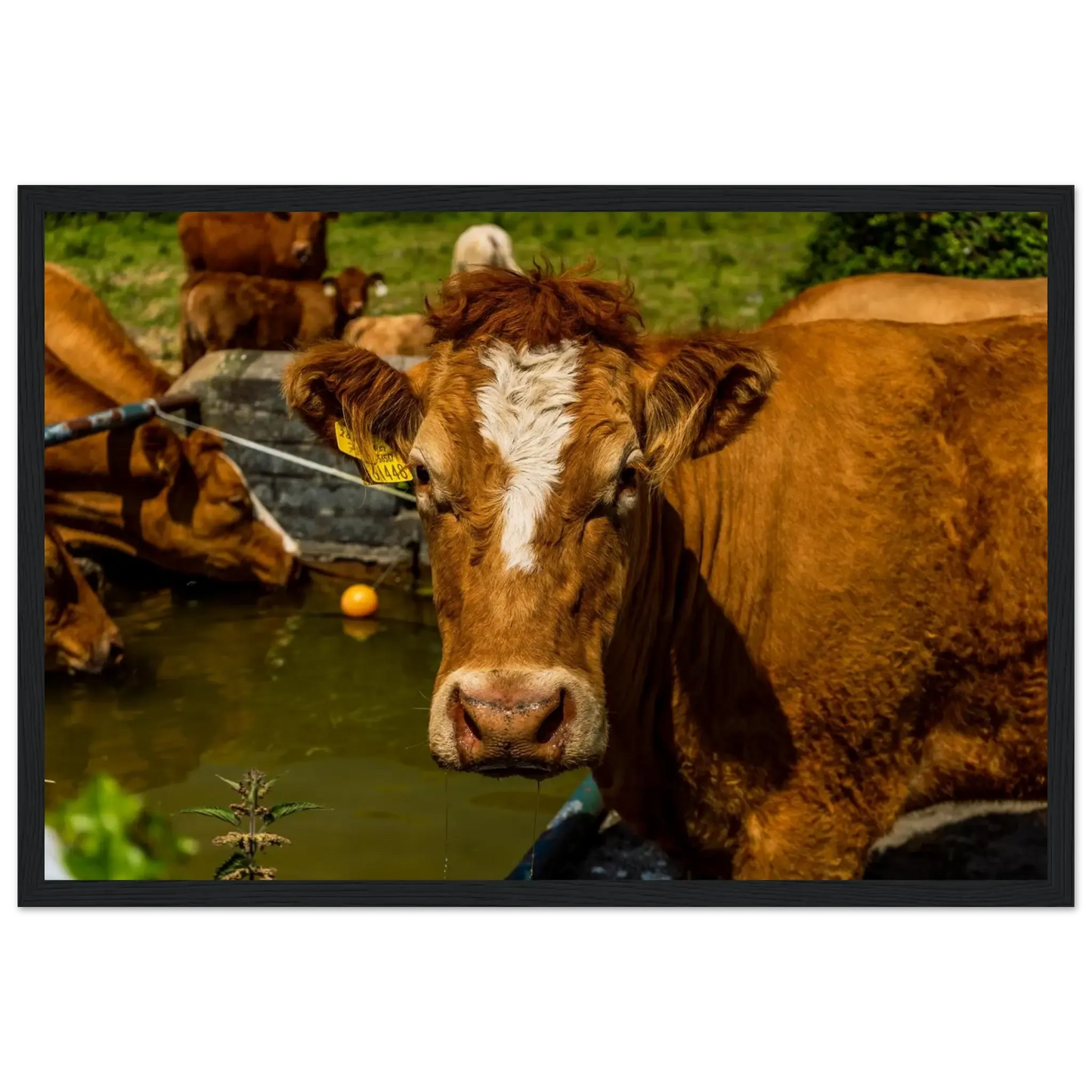 Farm Charm-Gage Prints