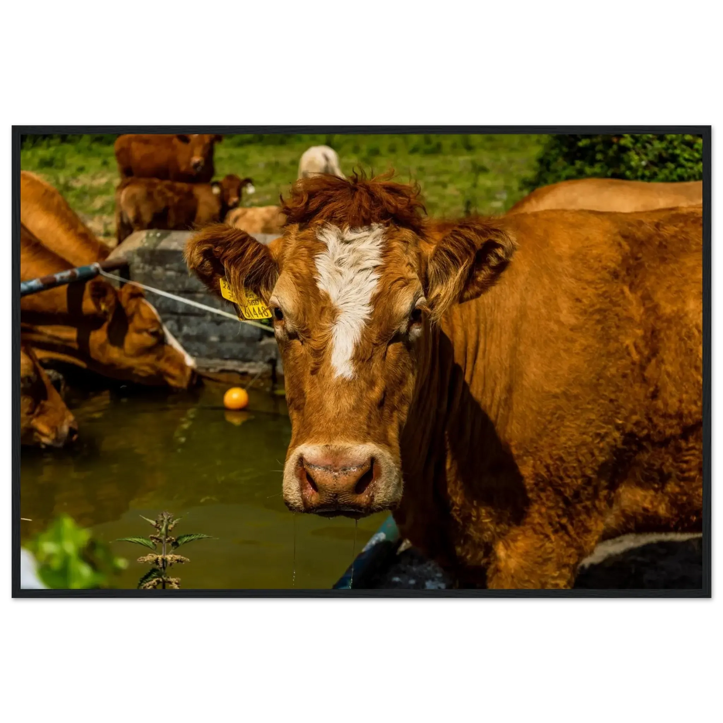 Farm Charm-Gage Prints