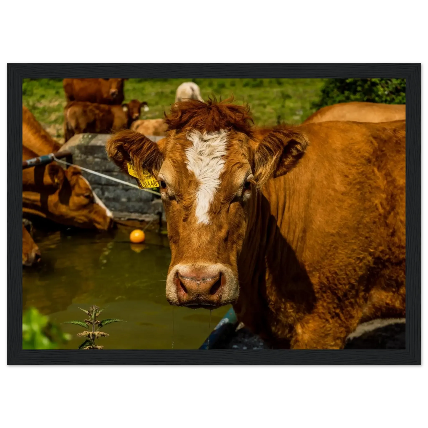 Farm Charm-Gage Prints