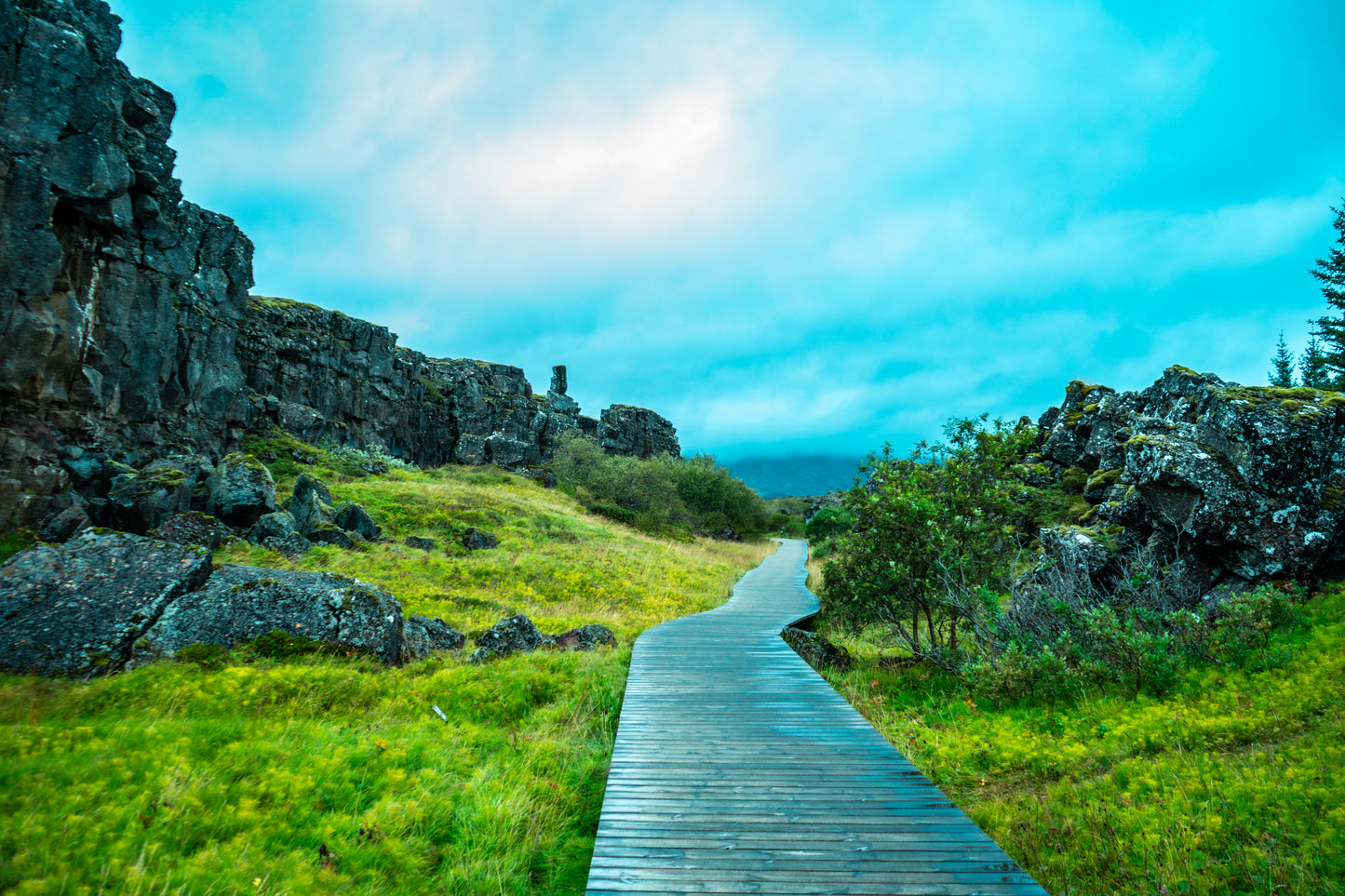 "Path Through Thingvellir" Icelandic Wall Art