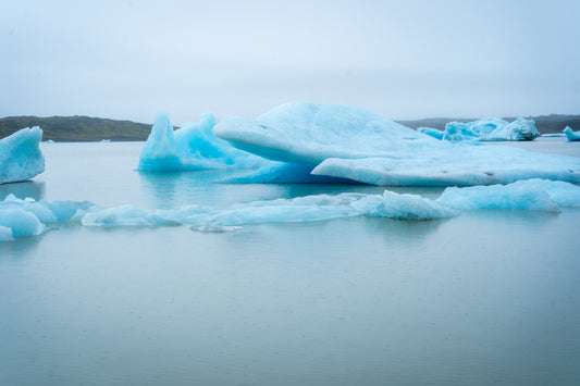 "The Dolphin of the Ice Lagoon" Icelandic Wall Art