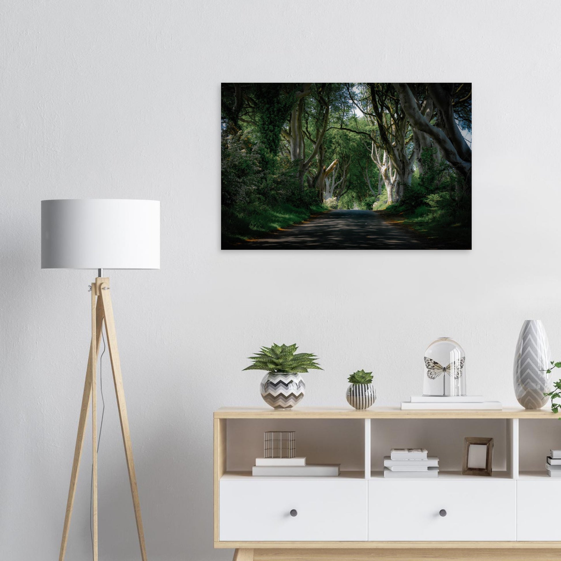 Mystic Dark Hedges-Gage Prints
