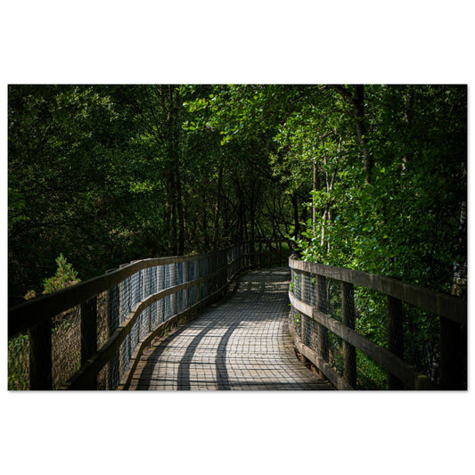 Sun-Dappled Walkway-Gage Prints