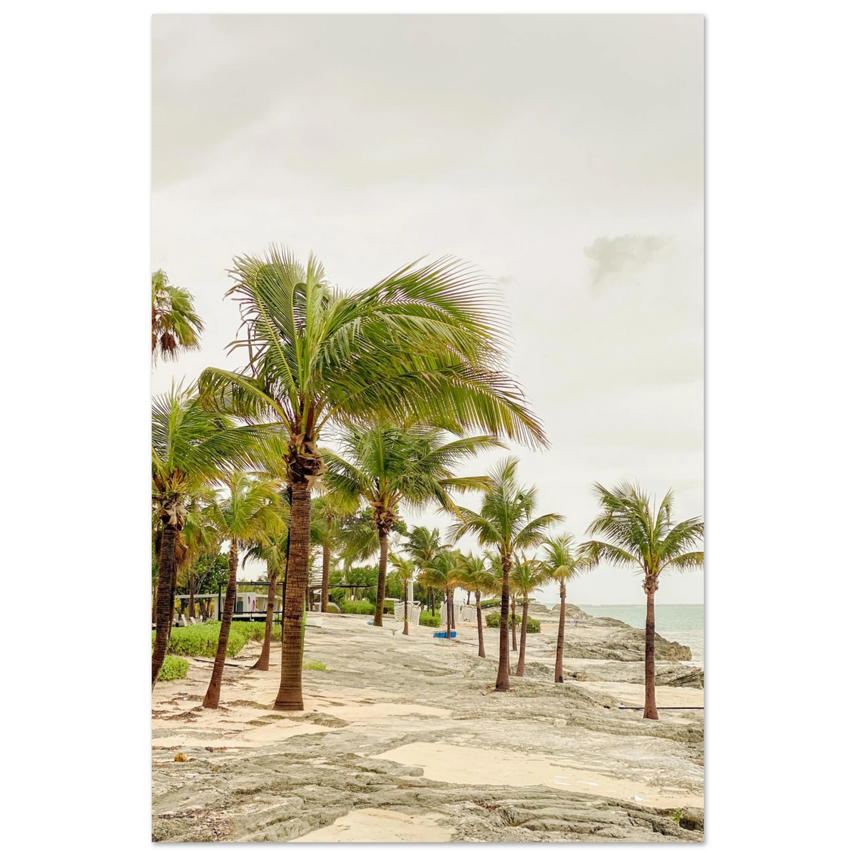 a8207256-ad48-4d56-8539-f547c19fbceb