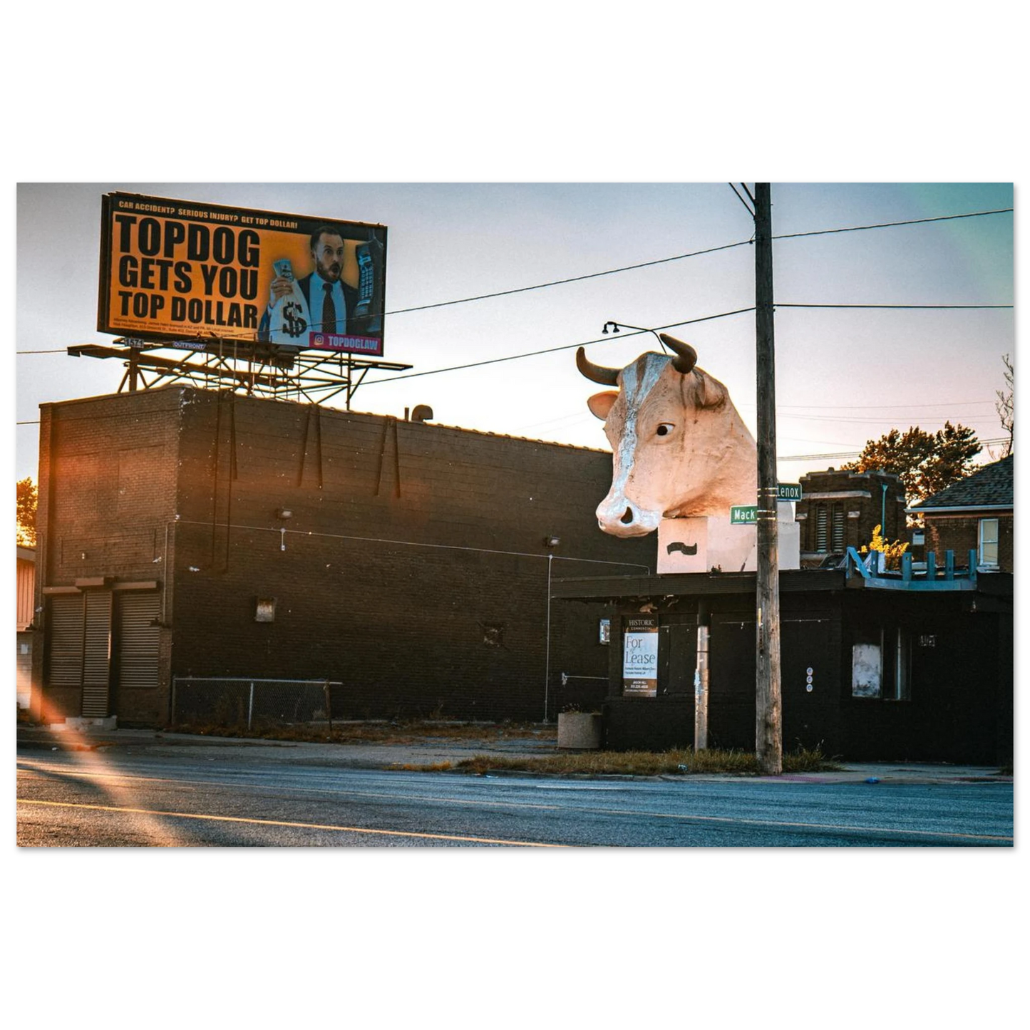 d1623a41-ab07-4b92-8b86-c5032428e826